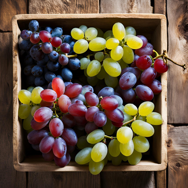 Weinrebenpflanzen - 6er-Mix - Vitis Vinifera