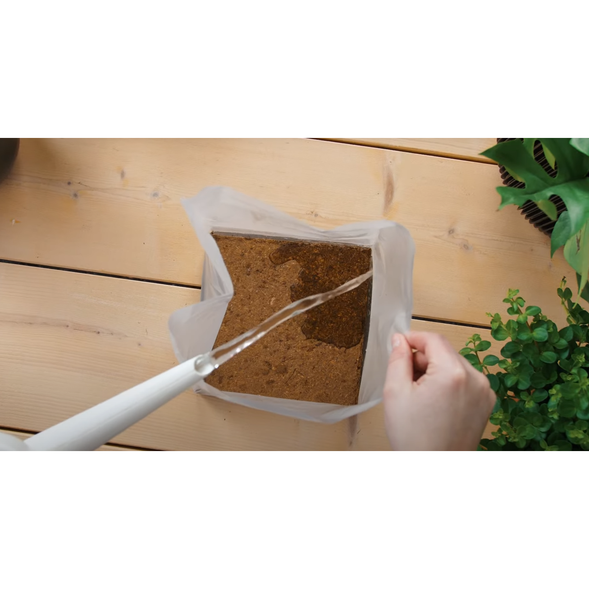Pokon Blumenerde - 10 Liter