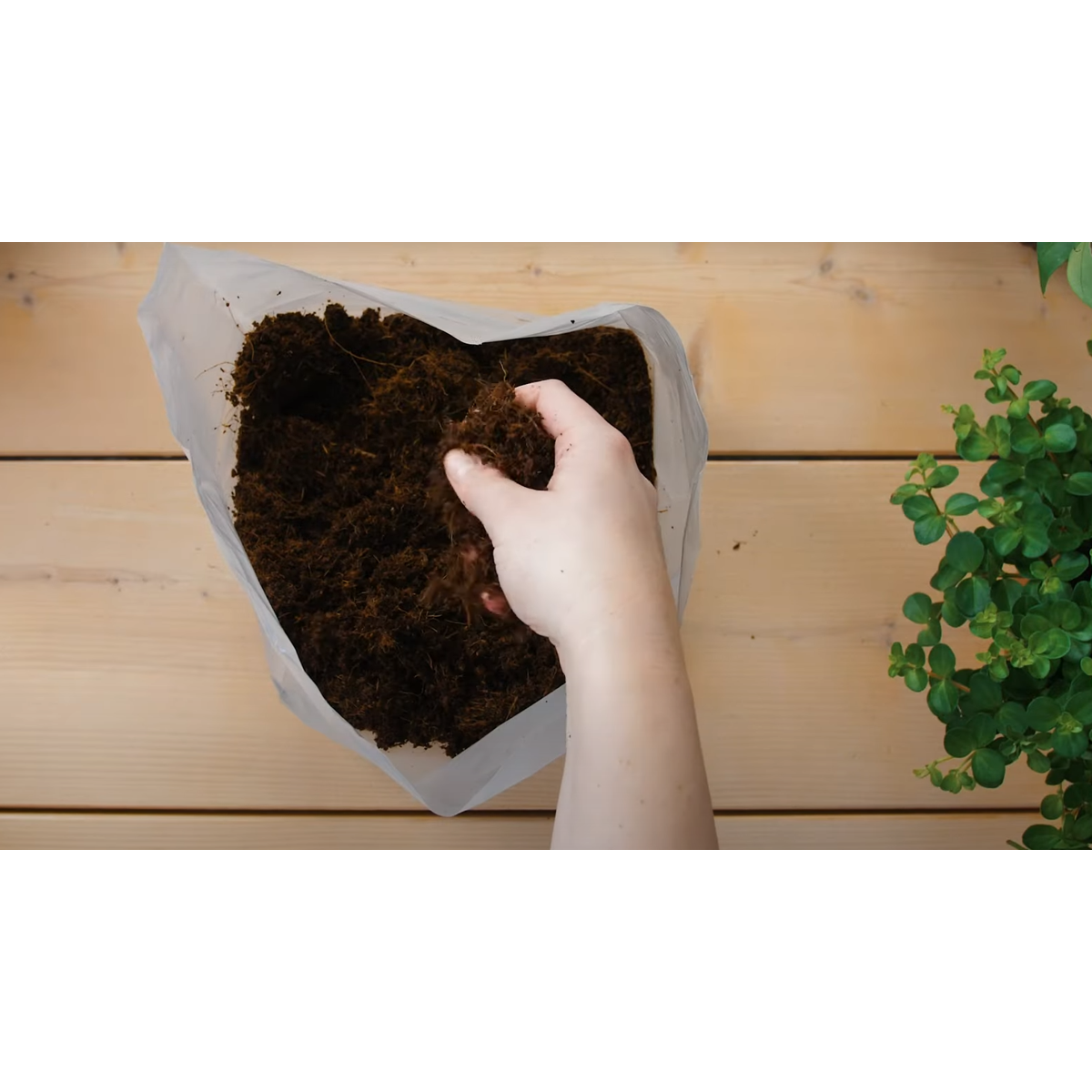 Pokon Blumenerde - 10 Liter