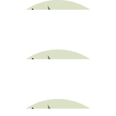 Curcuma alismatifolia 'Skyline'