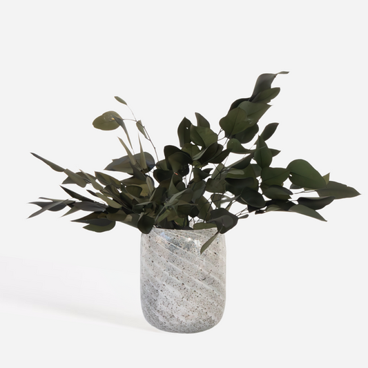 Eucalyptus stuartiana