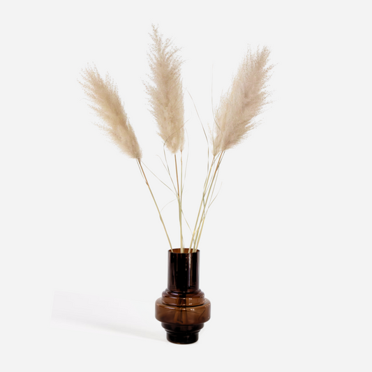 Trockenblumen 'Cortaderia Plum' - 5 Stück