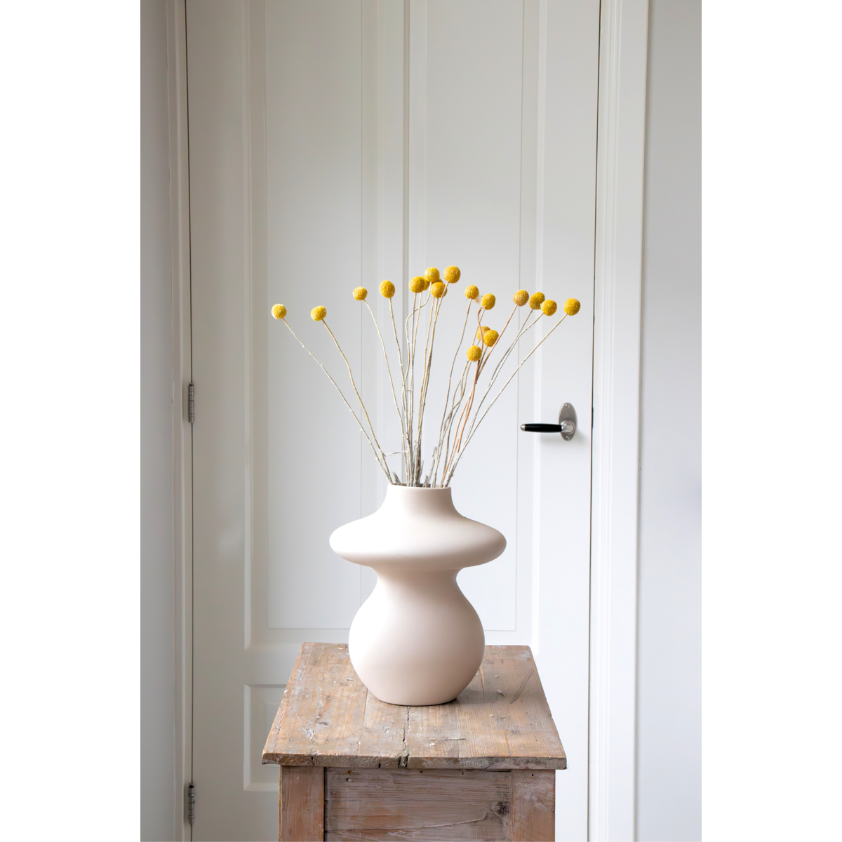 Blumenstrauß 'Craspedia naturgelb' - Trockenblumen