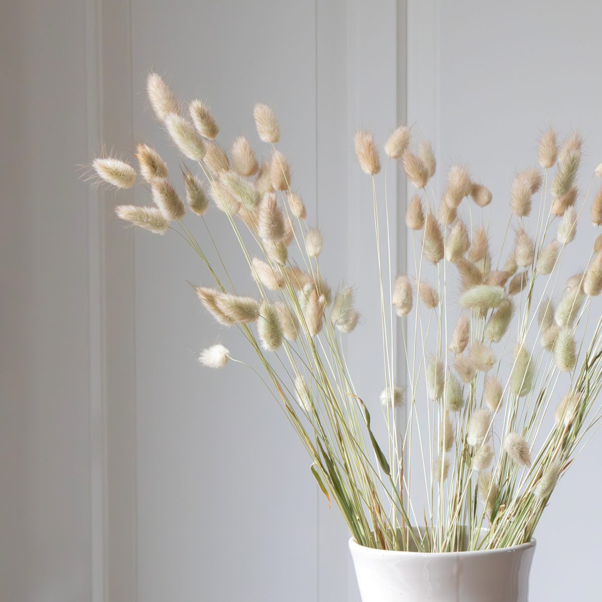 Blumenstrauß 'Lagurus Bunny Ears' - Trockenblumen