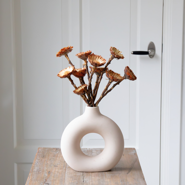 Strauß 'Protea Compacta' - 10 Stück - Trockenblumen