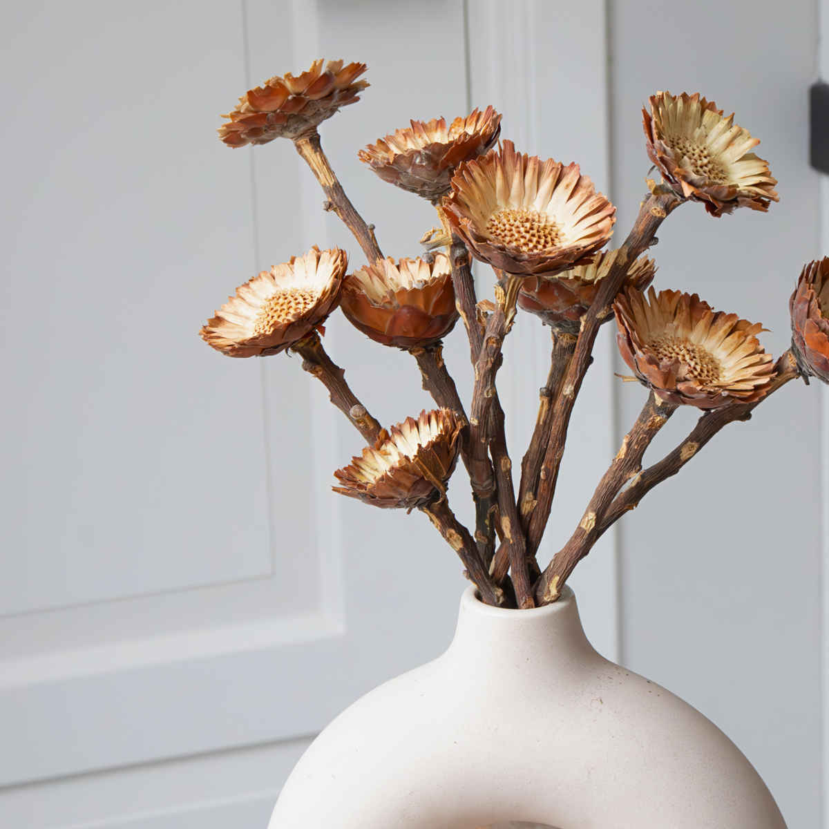 Strauß 'Protea Compacta' - 10 Stück - Trockenblumen