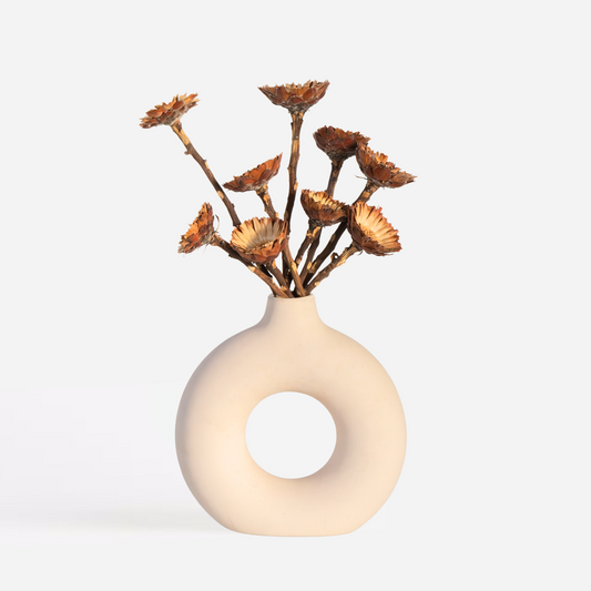 Strauß 'Protea Compacta' - 10 Stück - Trockenblumen