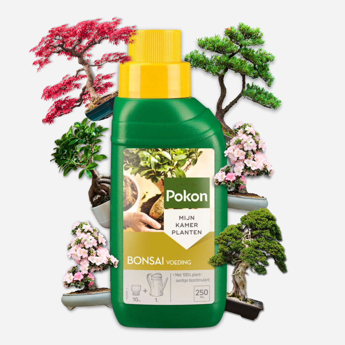 Pokon vloeibare bonsaivoeding - 250ml