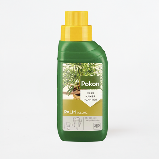 Pokon flüssiges Palmenfutter - 250ml