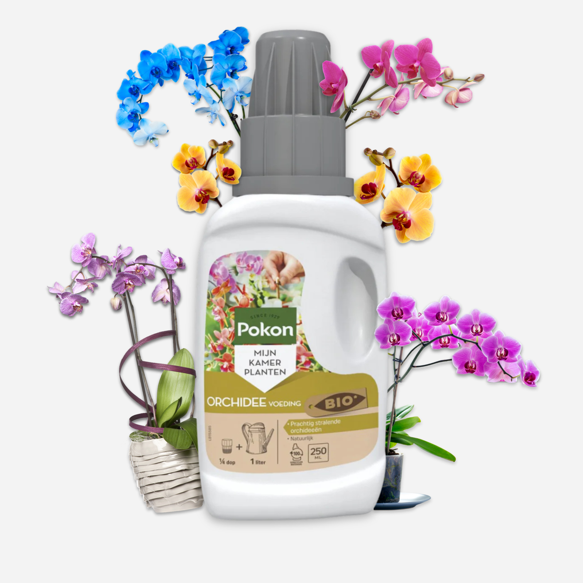 Pokon flüssige Orchideennahrung - 250ml