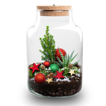 Frostiges Weihnachtsterrarium – Flaschengarten-Bastelset – Ø 17 cm ↑ 25 cm