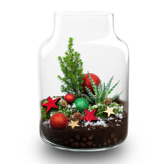 Frostiges Weihnachtsterrarium – Flaschengarten-Bastelset – Ø 17 cm ↑ 25 cm