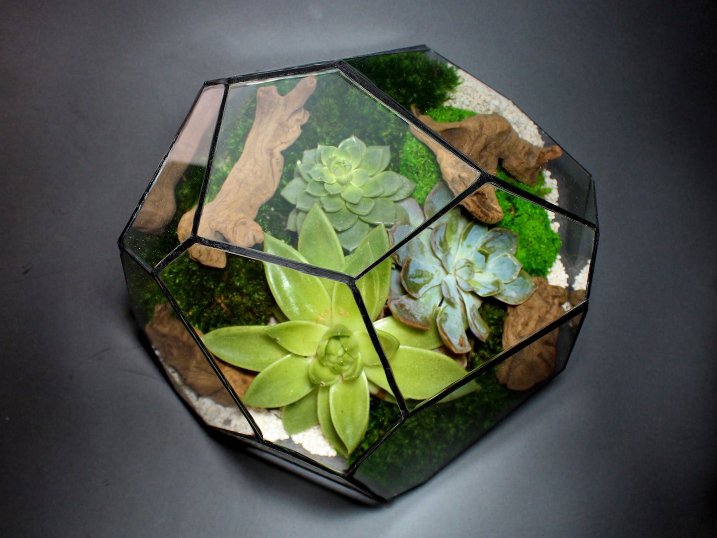 Geometrisches Terrarium – Torno – Vivarium – ↑ 28 x 26 x 24 cm (L x B x H) – Glas