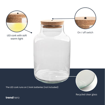 Terrarium bottle garden - Milky with led cork - Ø 21 cm ↑ 30 cm - Terrarium with cork