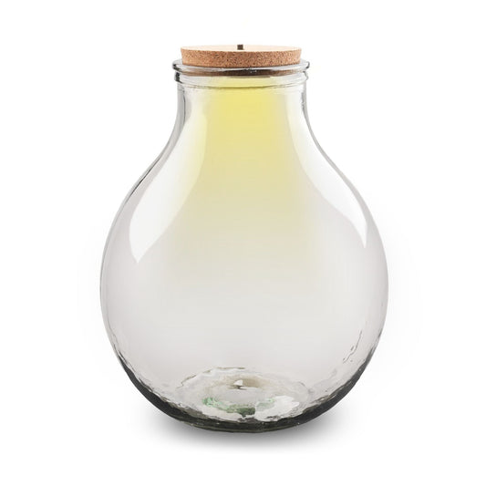 Terrarium bottle - Big Paul with led light - Ø 31 cm ↑ 40 cm