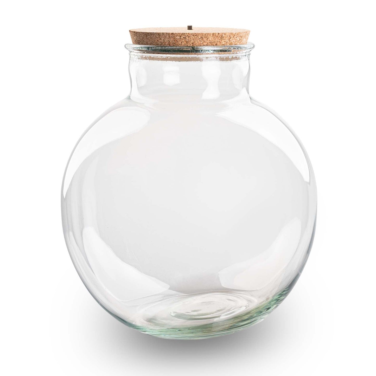 Terrarium bottle with light in cork - Bolder Bob - ↑ 30 cm