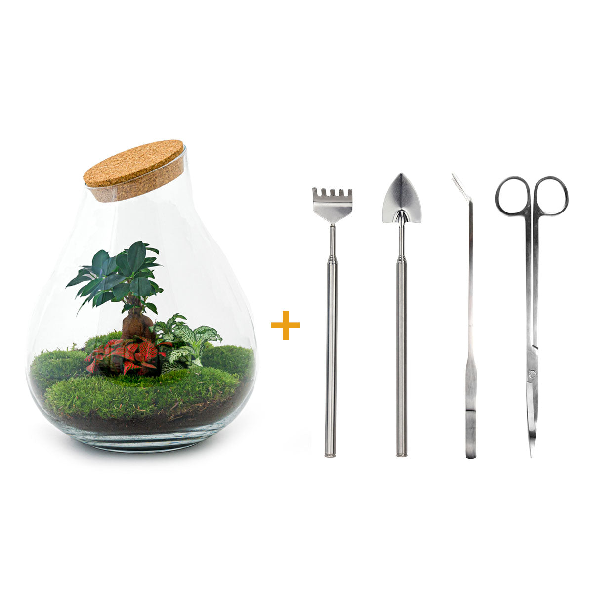 Terrarium DIY Kit - Drop XXL Bonsai - Bottle Garden - ↑ 43 cm