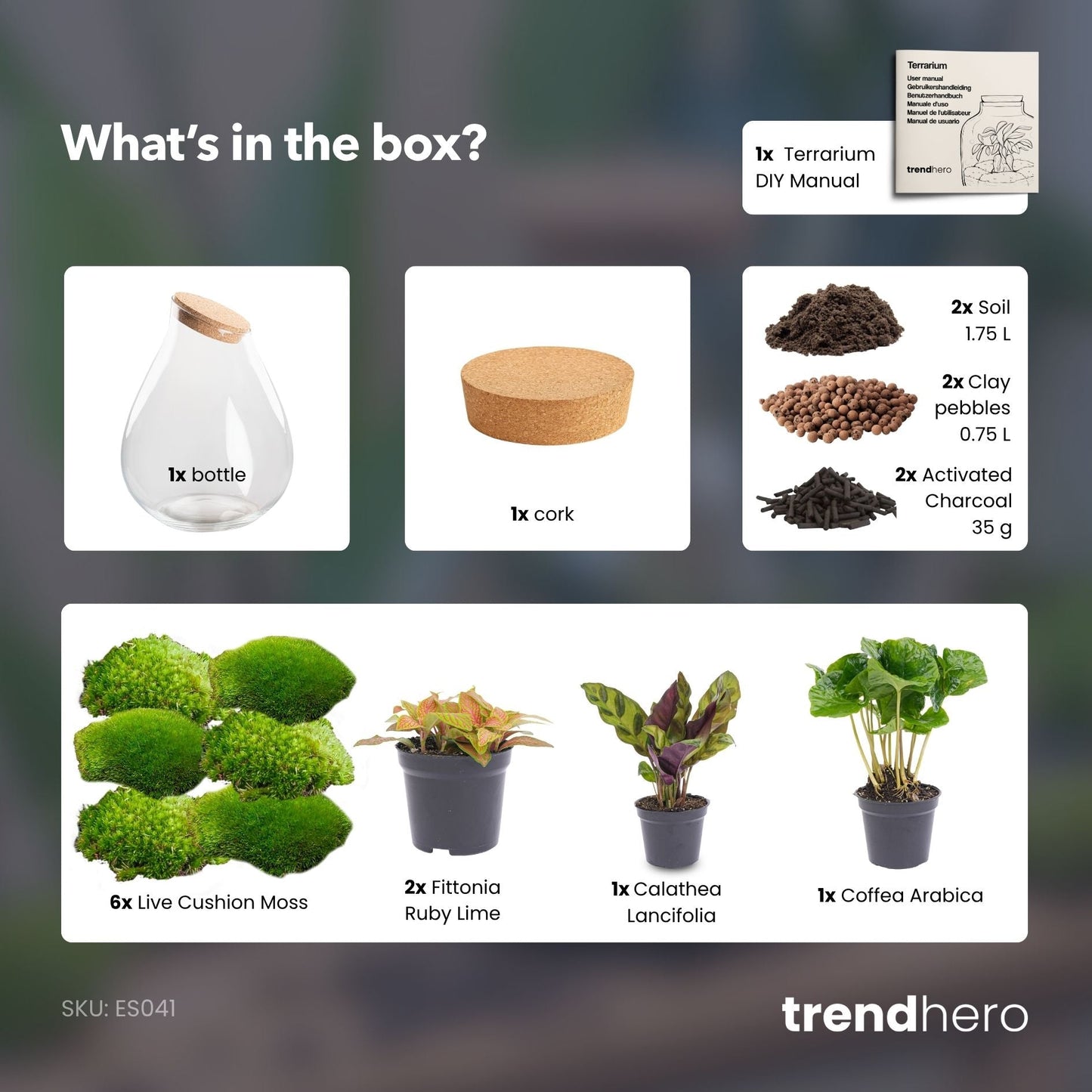 Drop XXL Rot – Terrarium mit Korken – Flaschengarten-Bastelset – Ø 34 cm ↑ 43 cm