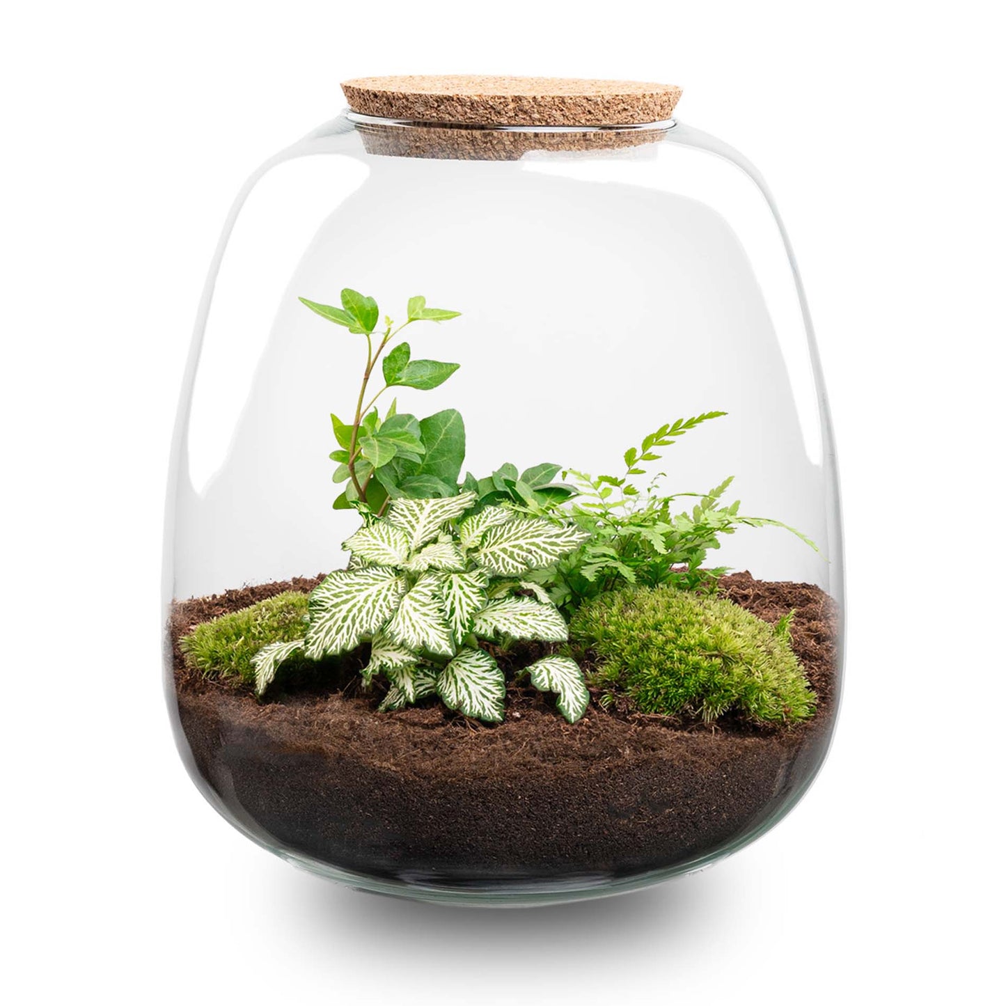 Terrarium-Bastelset – Emma – DIY-Set – ↑ 25 cm – Ø 23 cm