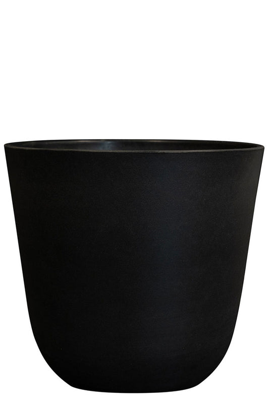 MM-MEC-0243 - 0