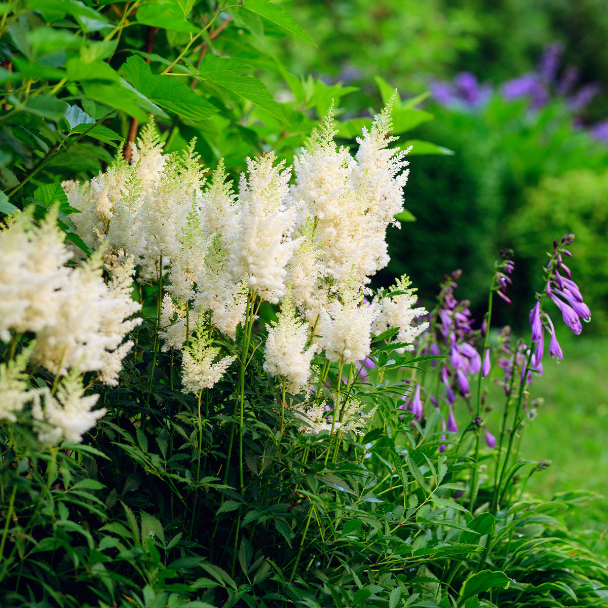MM-MEC-1458 - 0