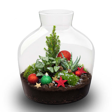 Weihnachtliches Stechpalmen-Terrarium – Flaschengarten-Bastelset – Ø 29 cm ↑ 30