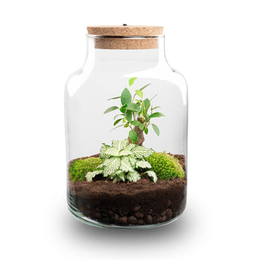 Little Milky – Terrarium mit Beleuchtung – Flaschengarten-Bastelset – Ø 17 cm ↑ 25 cm