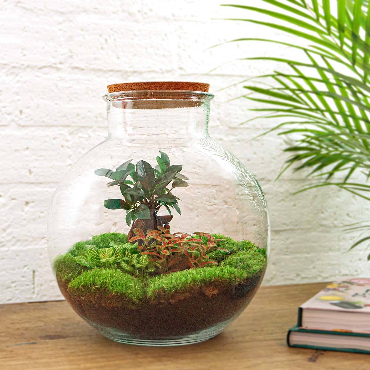 Terrarium-Bastelset – Bolder Bob Bonsai – Flaschengarten – ↑ 30 cm