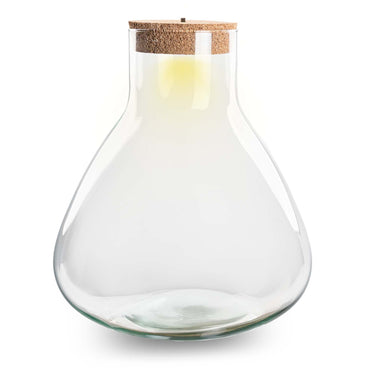 Terrarium with cork - Sam XL with led cork - ↑ 32 cm