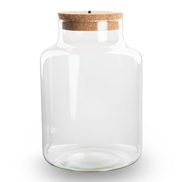 Terrarium bottle garden - Little Milky with led cork - Ø 17 cm ↑ 25 cm - Terrarium with cork