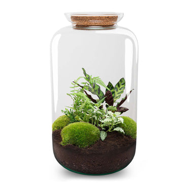 Sven XL Botanical – Terrarium mit Beleuchtung – Flaschengarten-Bastelset – Ø 23 cm ↑ 43 cm