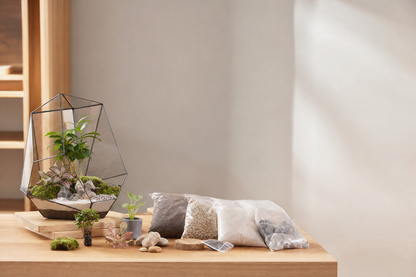 Florazo Terrarium DIY Kit - sales image