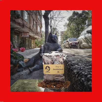 Florazo extra product image 1 for Orchidee schors 3L - Plantenverzorging | Florazo