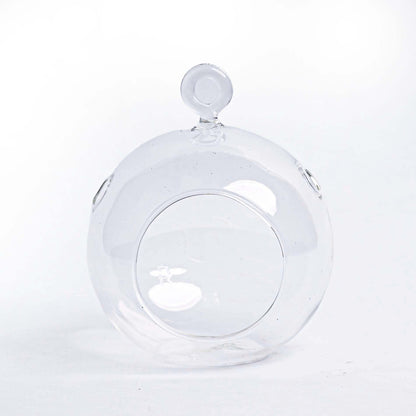 Weihnachtskugel aus Glas – Tillandsien und Rentierflechte