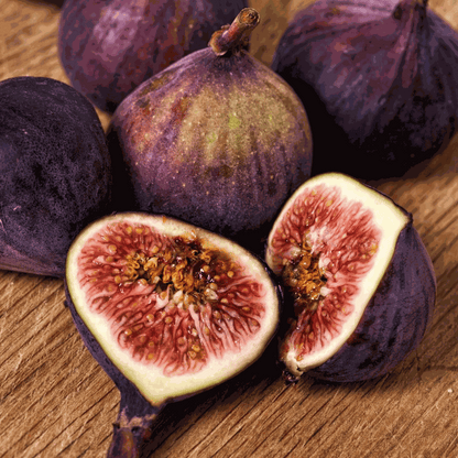 Ficus Carica - 2er-Set - Feigenbaum