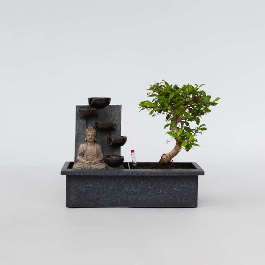 Bonsai-Baum mit Wassersystem - Buddha