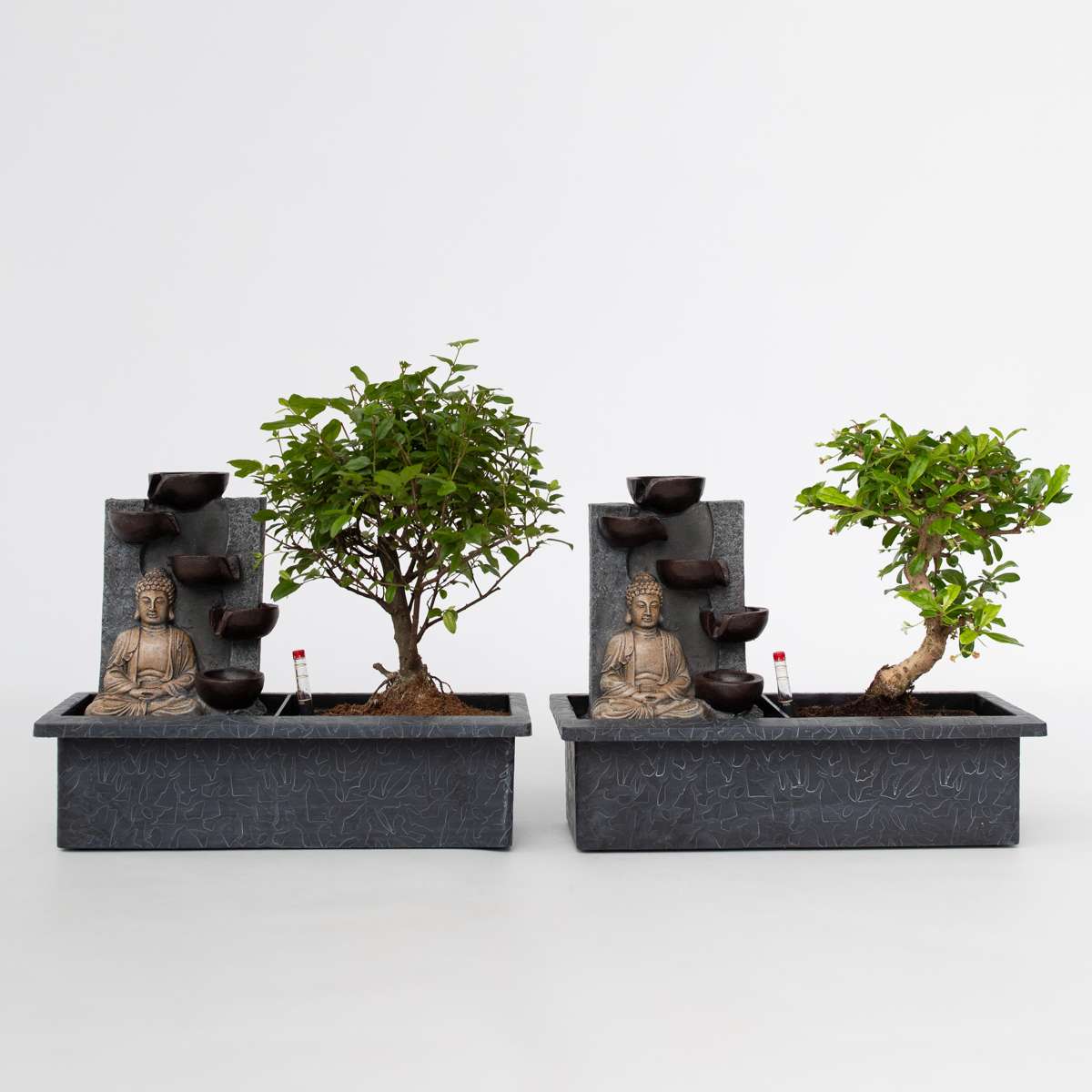 Bonsai-Baum mit Wassersystem - 2 Stück - Buddha