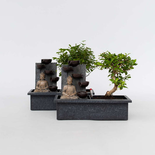 Bonsai-Baum mit Wassersystem - 2 Stück - Buddha