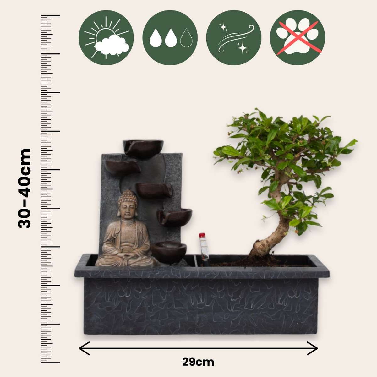 Bonsai-Baum mit Wassersystem - 2 Stück - Buddha