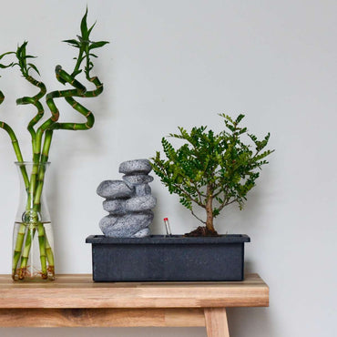 Bonsai-Baum mit Wassersystem - 2 Stück - Zen-Steine