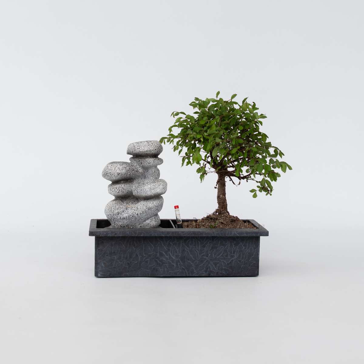 Bonsaiboom met watersysteem - Zenstenen