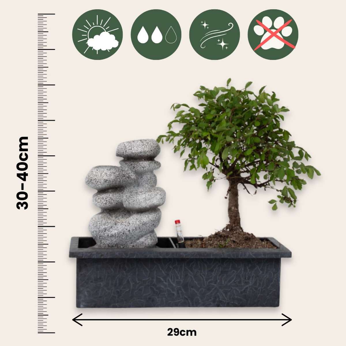 Bonsaiboom met watersysteem - Zenstenen