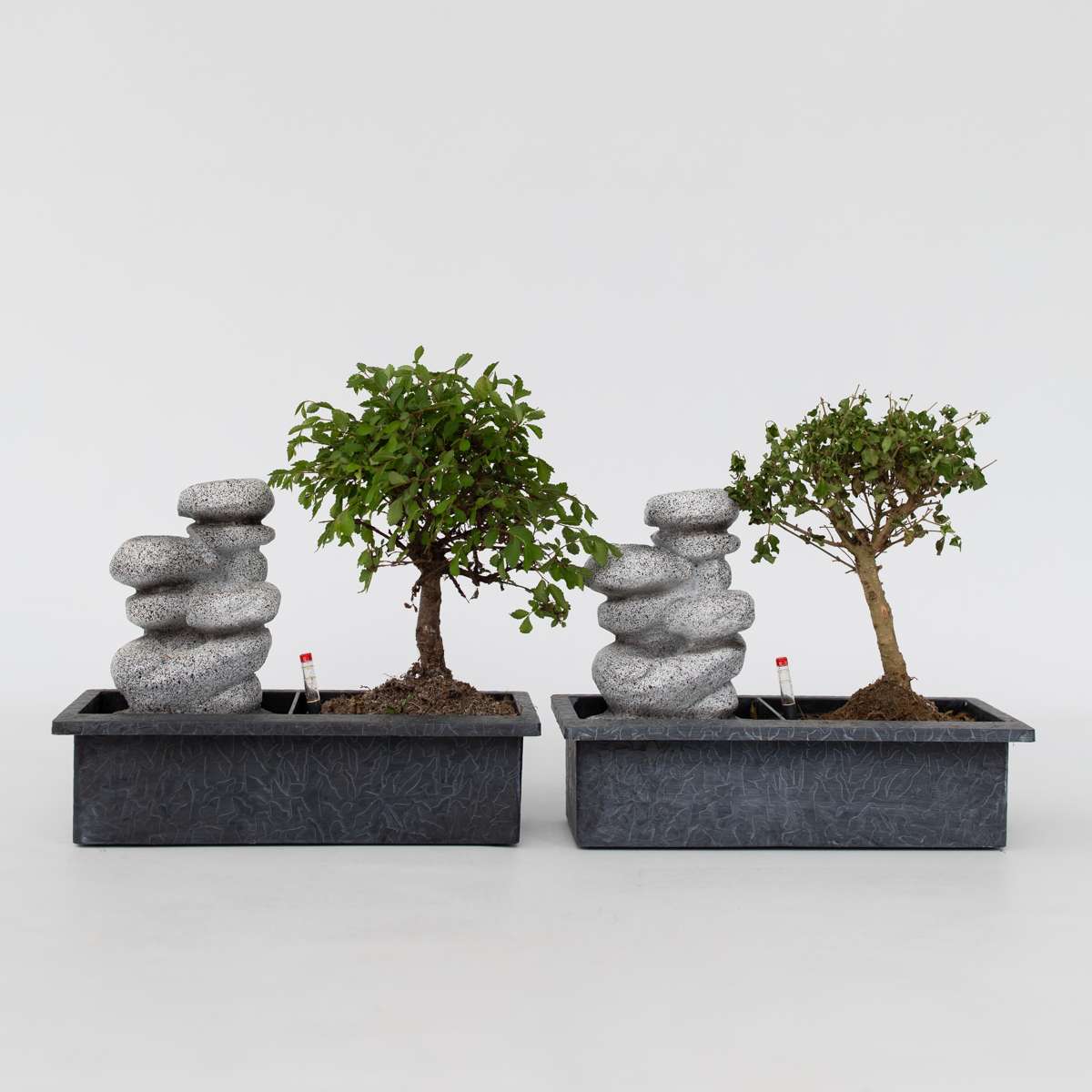 Bonsai-Baum mit Wassersystem - 2 Stück - Zen-Steine