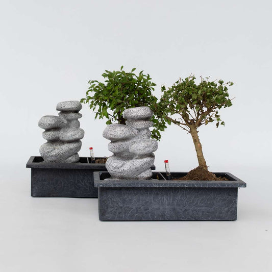 Bonsai-Baum mit Wassersystem - 2 Stück - Zen-Steine