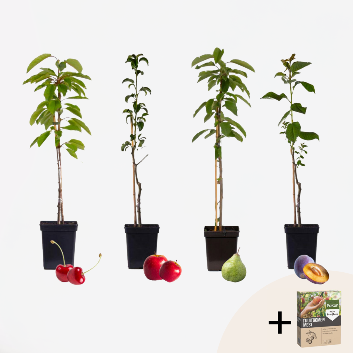 Mix fruitzuilen - Inclusief plantenvoeding