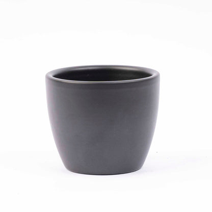 Mini-Pflanzenset 6 – Enthält 6 anthrazitfarbene Boule-Töpfe