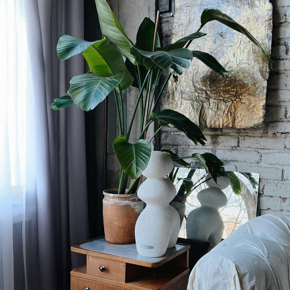 Strelitzia Nicolai – Paradiesvogelblume