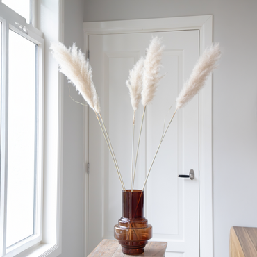 Trockenblumen 'Cortaderia Plum' - 5 Stück