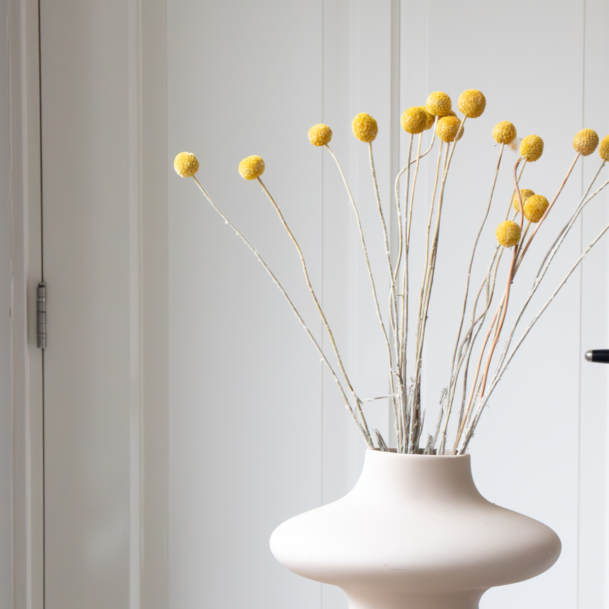 Blumenstrauß 'Craspedia naturgelb' - Trockenblumen