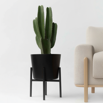 Euphorbia Ingens - Cowboy-Kaktus XL